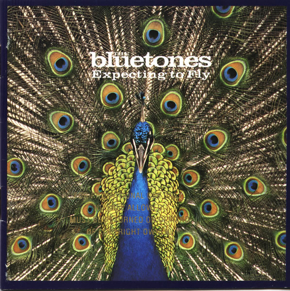 

The Bluetones - Expecting To Fly (1 CD)