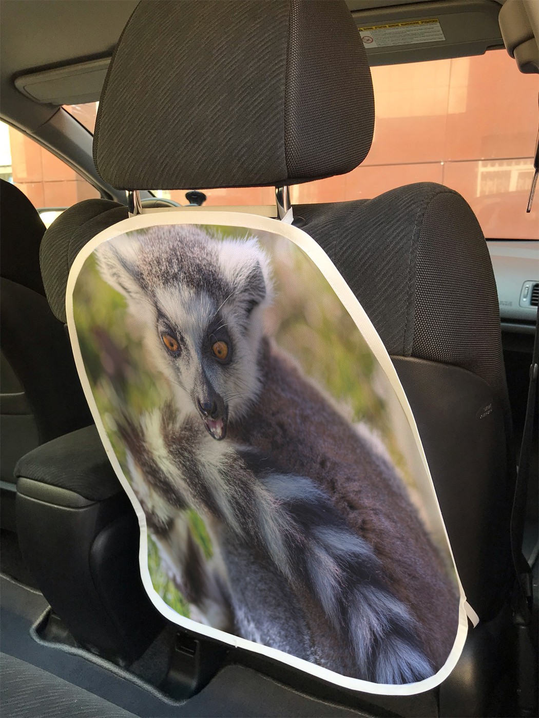 

cspr_100296 Защита на автокресло