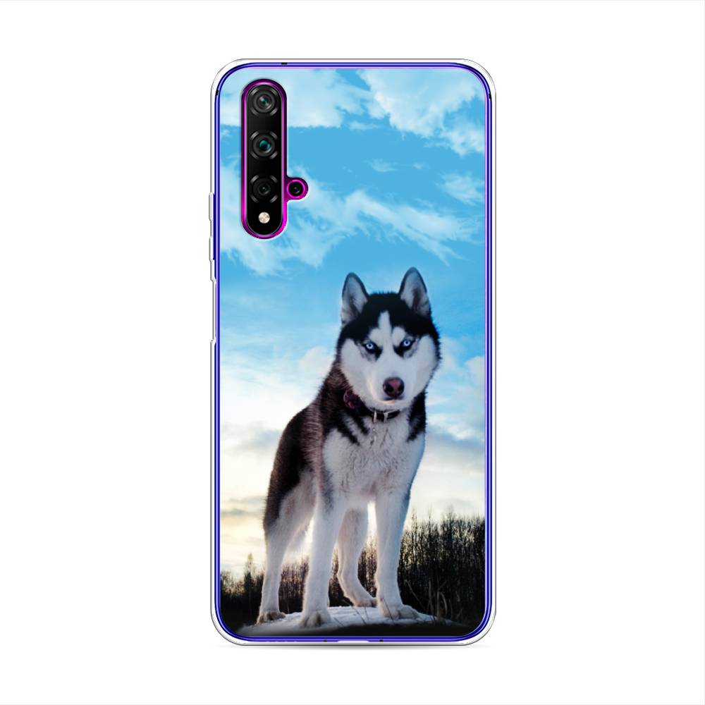 

Чехол Awog на Huawei Nova 5T "Хаски 3", Разноцветный, 610550-2