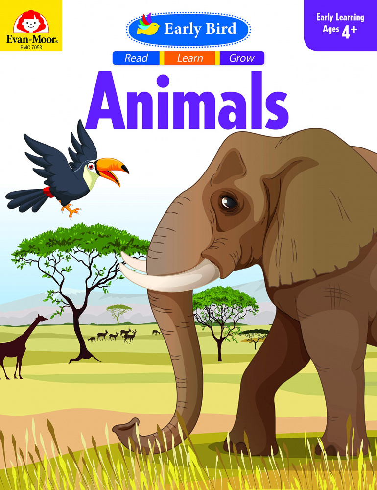 

Early Bird: Animals