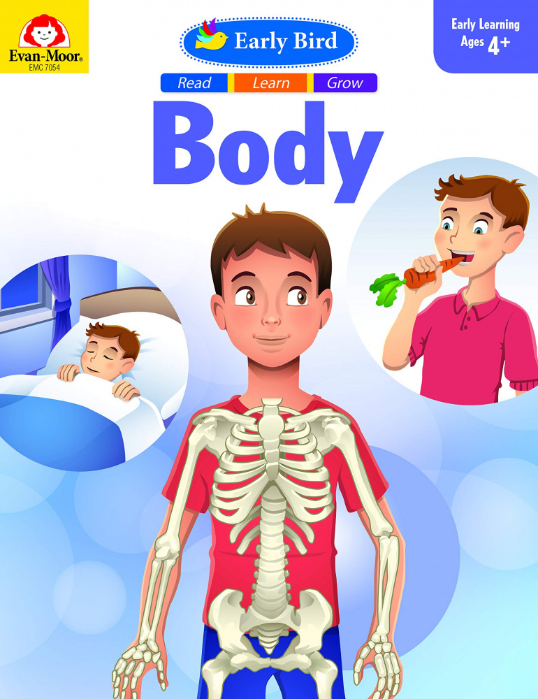 

Early Bird: Body
