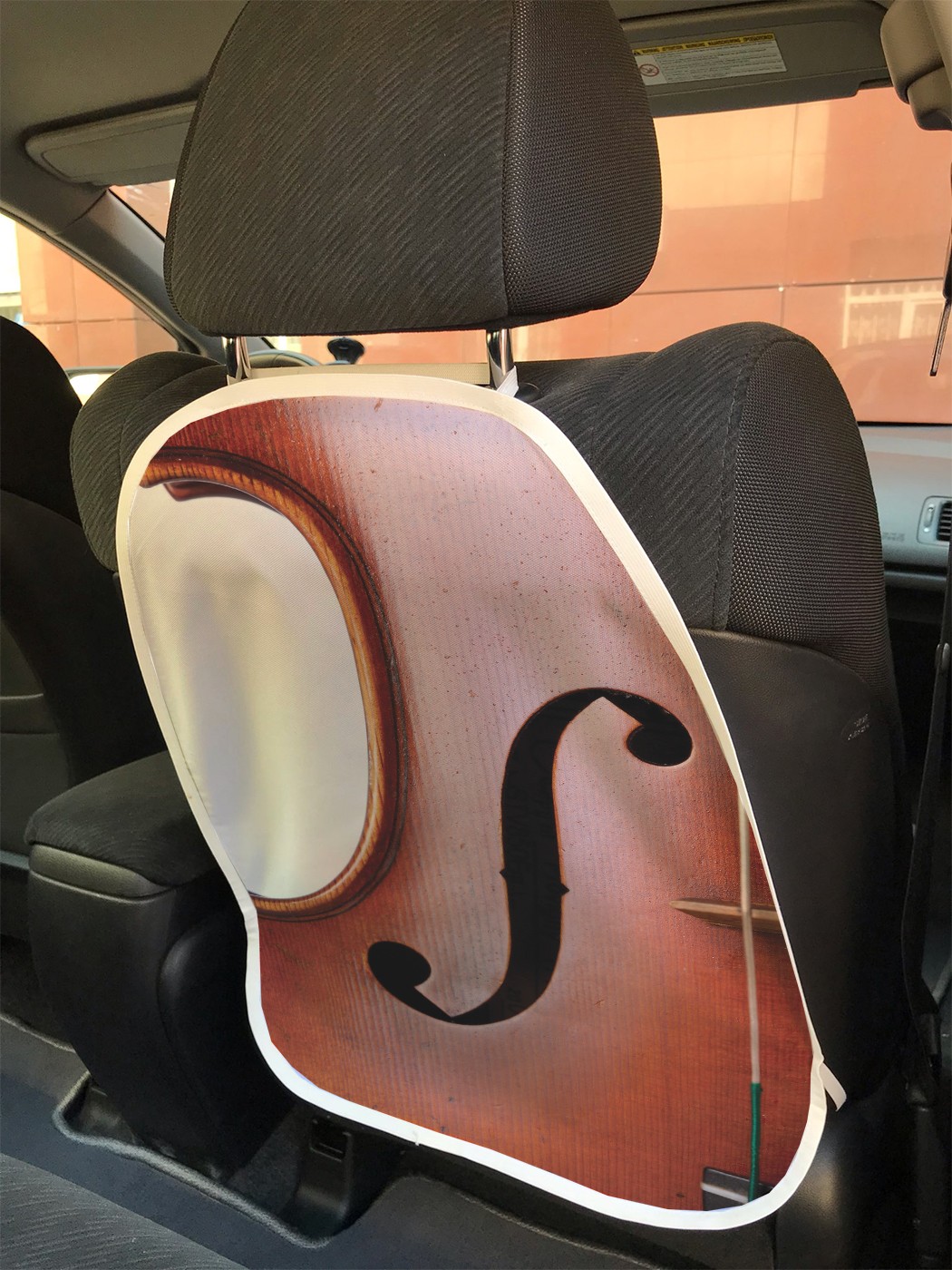 

cspr_100822 Защита на автокресло