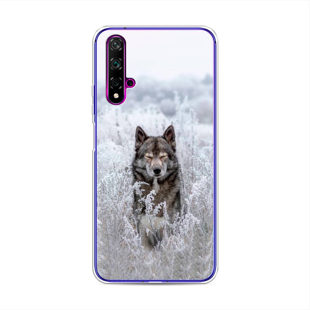 

Чехол Awog на Huawei Nova 5T "Волк в поле", Разноцветный, 610550-1