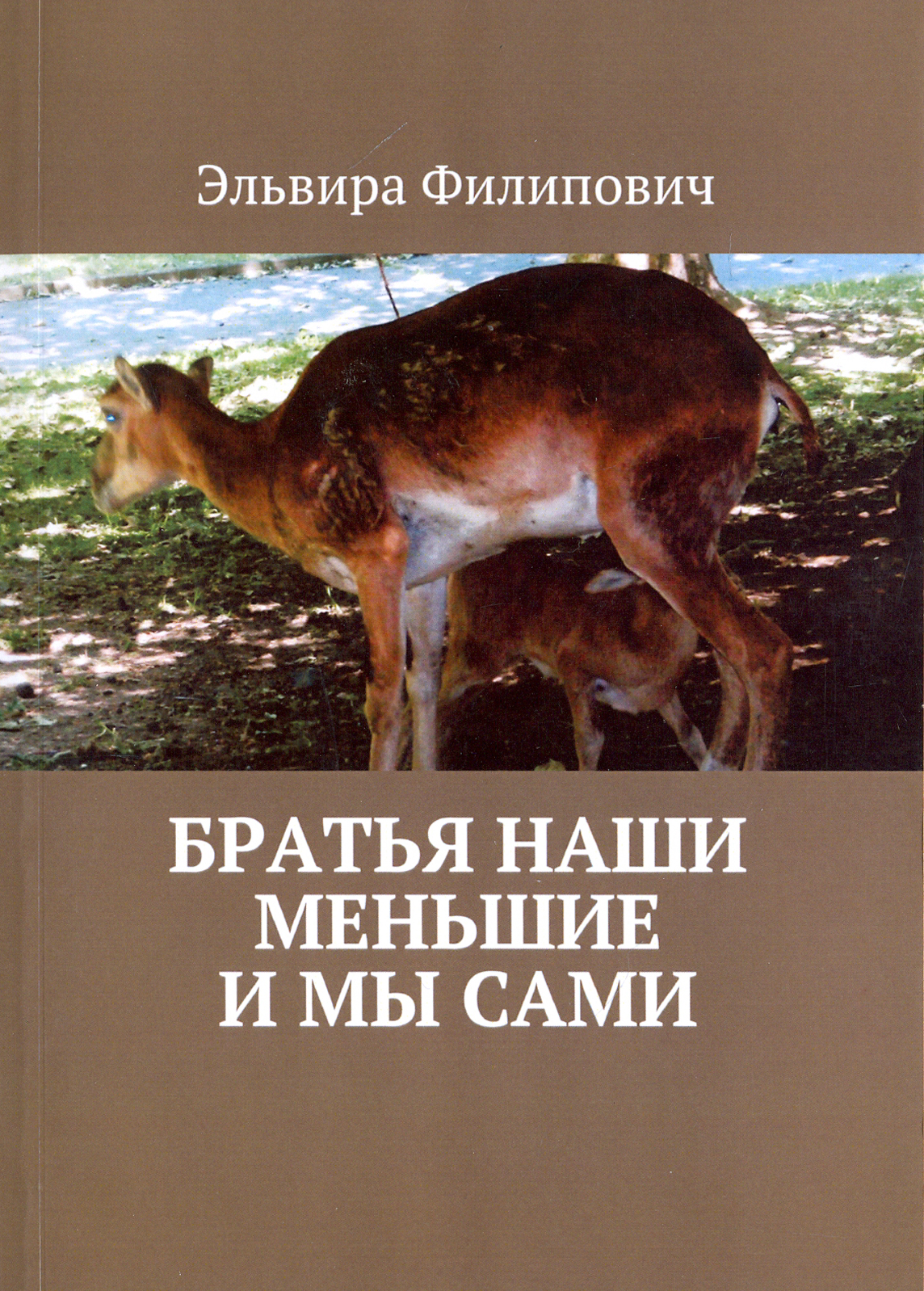 

Братья наши меньшие и мы сами