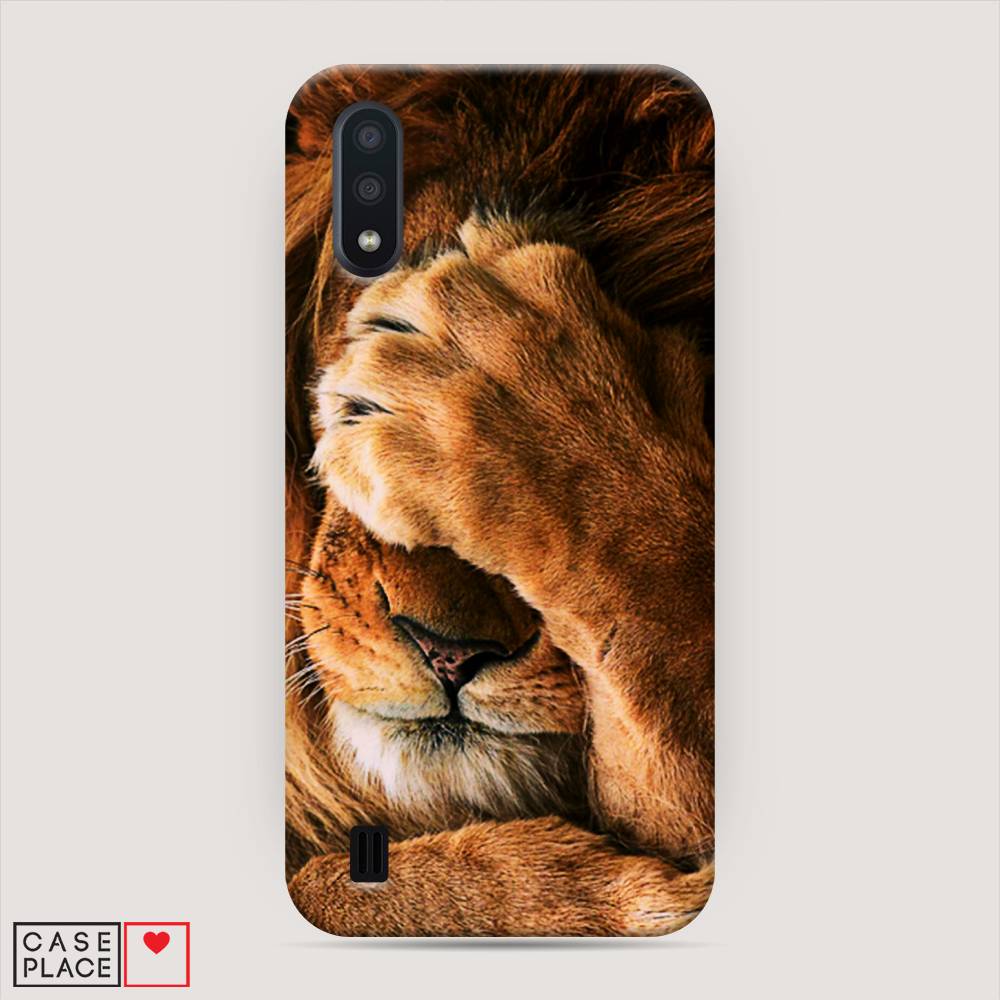 

Пластиковый чехол "Львиный стыд" на Samsung Galaxy A01