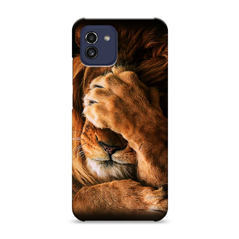 

Пластиковый чехол "Львиный стыд" на Samsung Galaxy A03, 2104920-1
