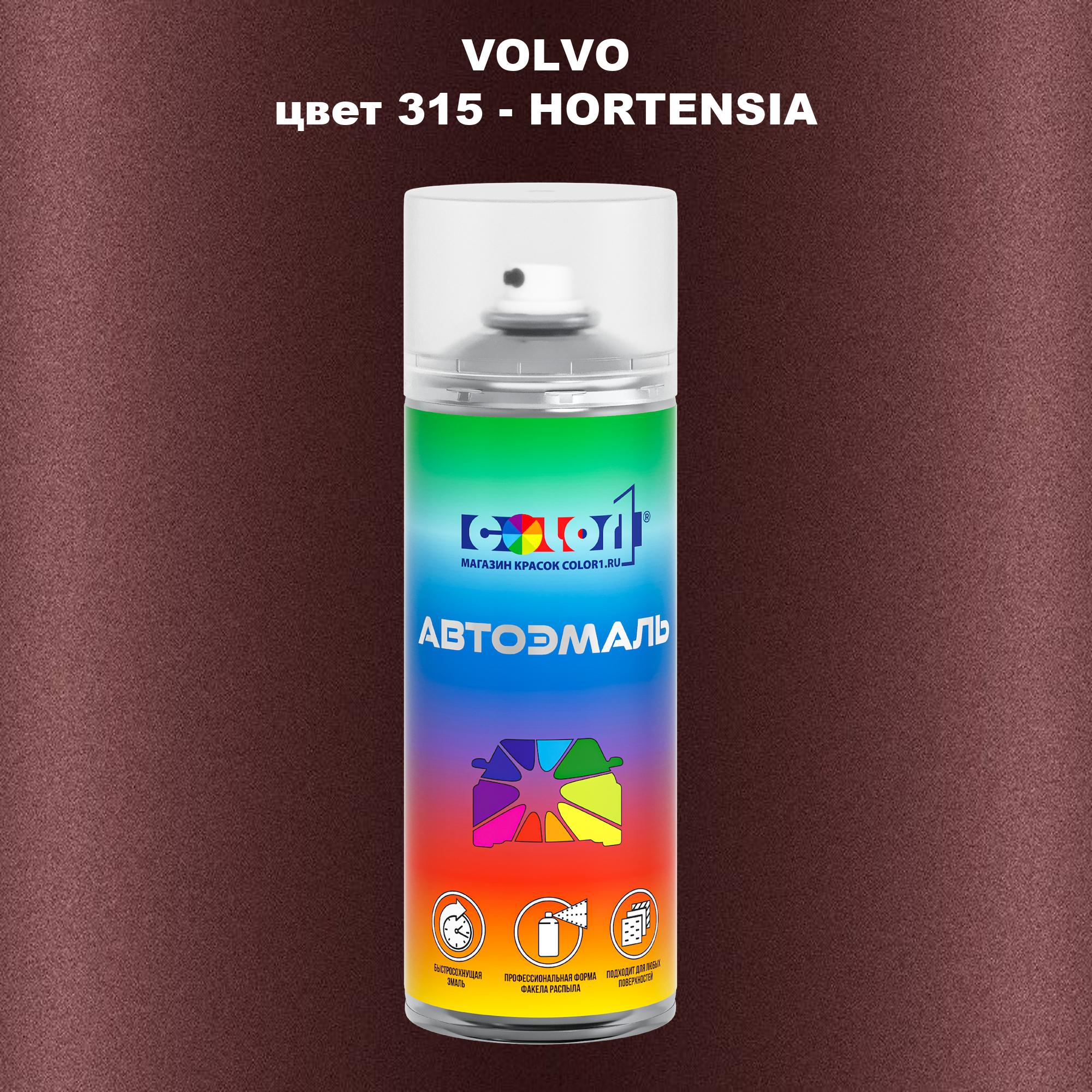 

Аэрозольная краска COLOR1 для VOLVO, цвет 315 - HORTENSIA, Прозрачный