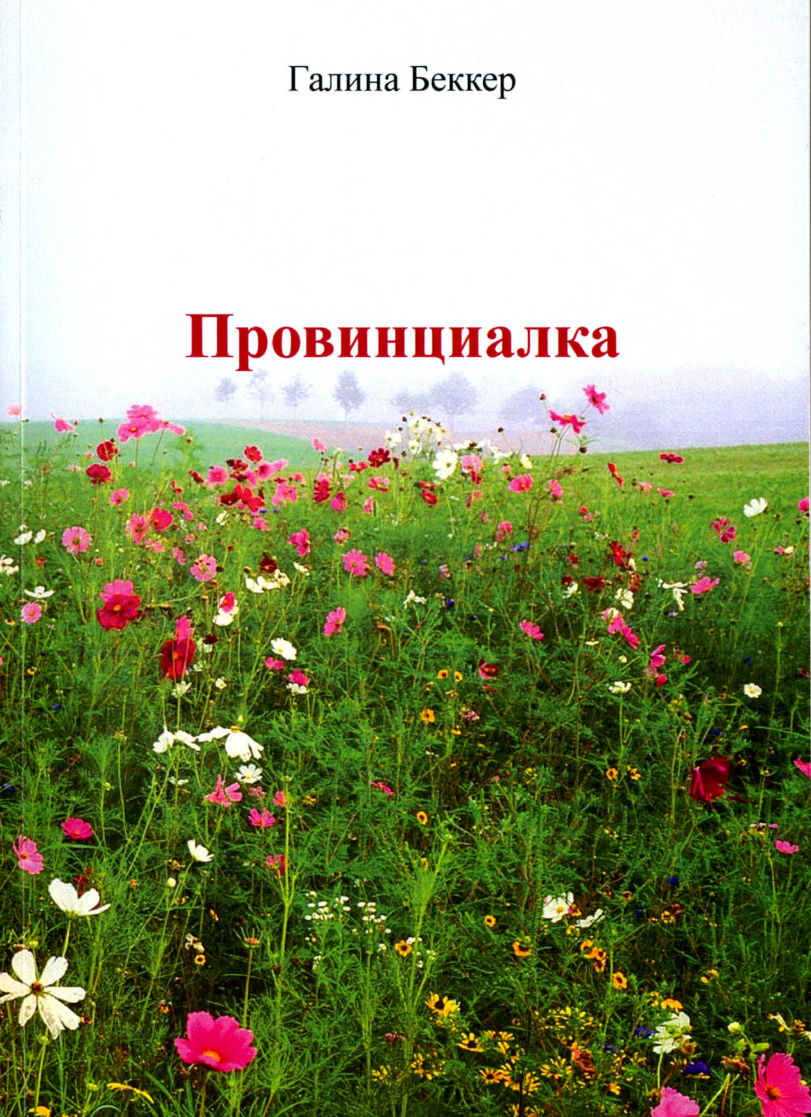

Провинциалка