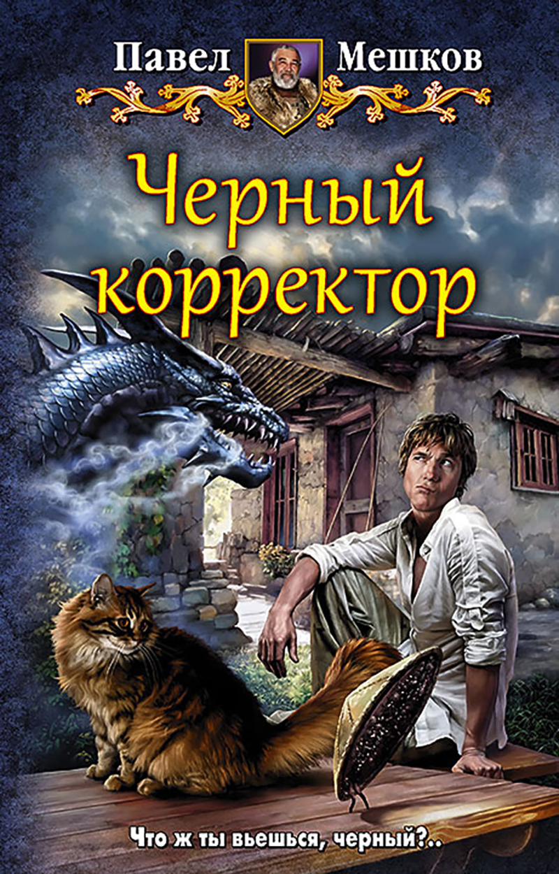 

Черный корректор