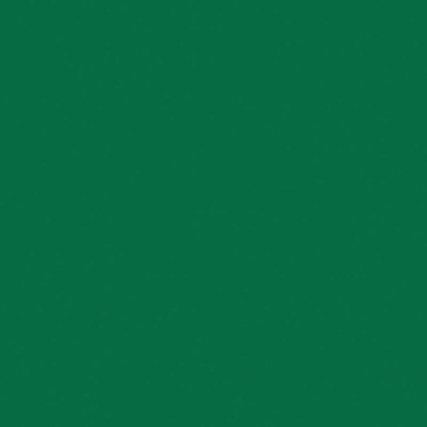 

TARKETT Omnisports R65 Field Green спортивное покрытие (2м) (20,5 пог.м.=41 кв.м.)