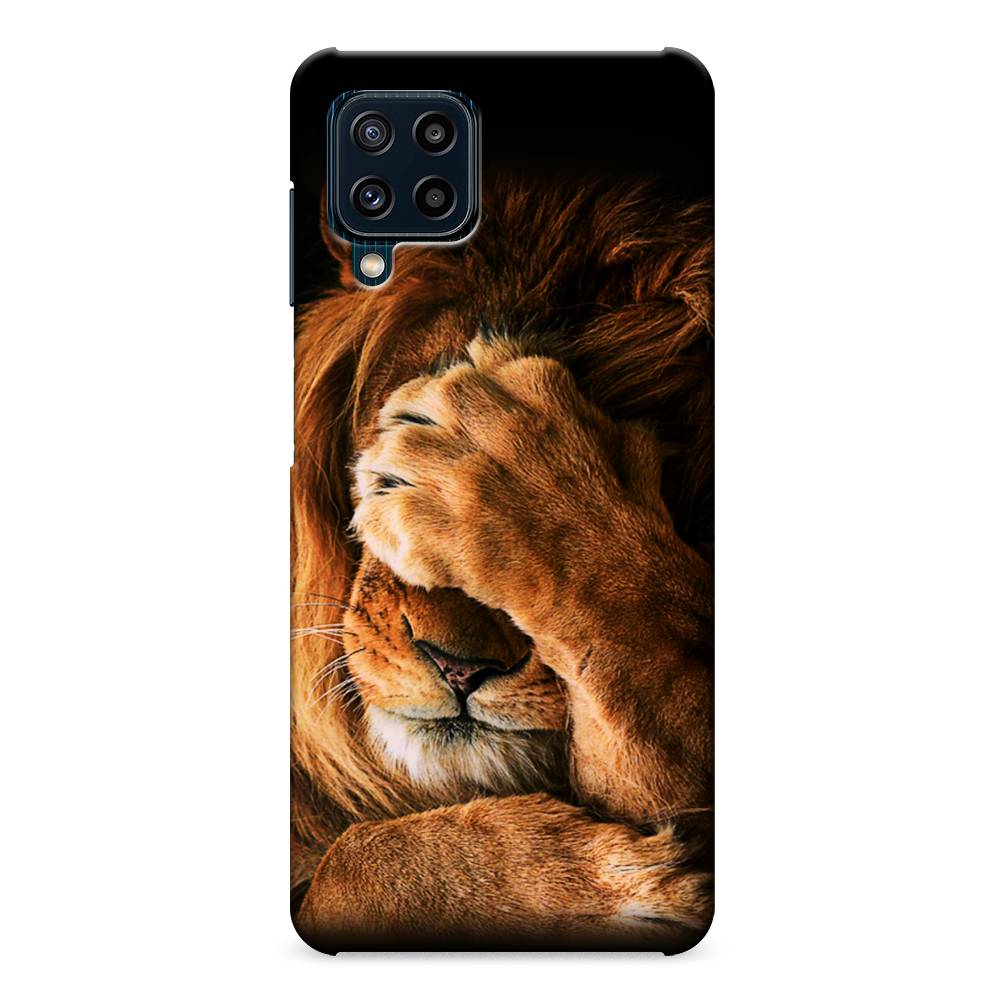 

Пластиковый чехол "Львиный стыд" на Samsung Galaxy M32