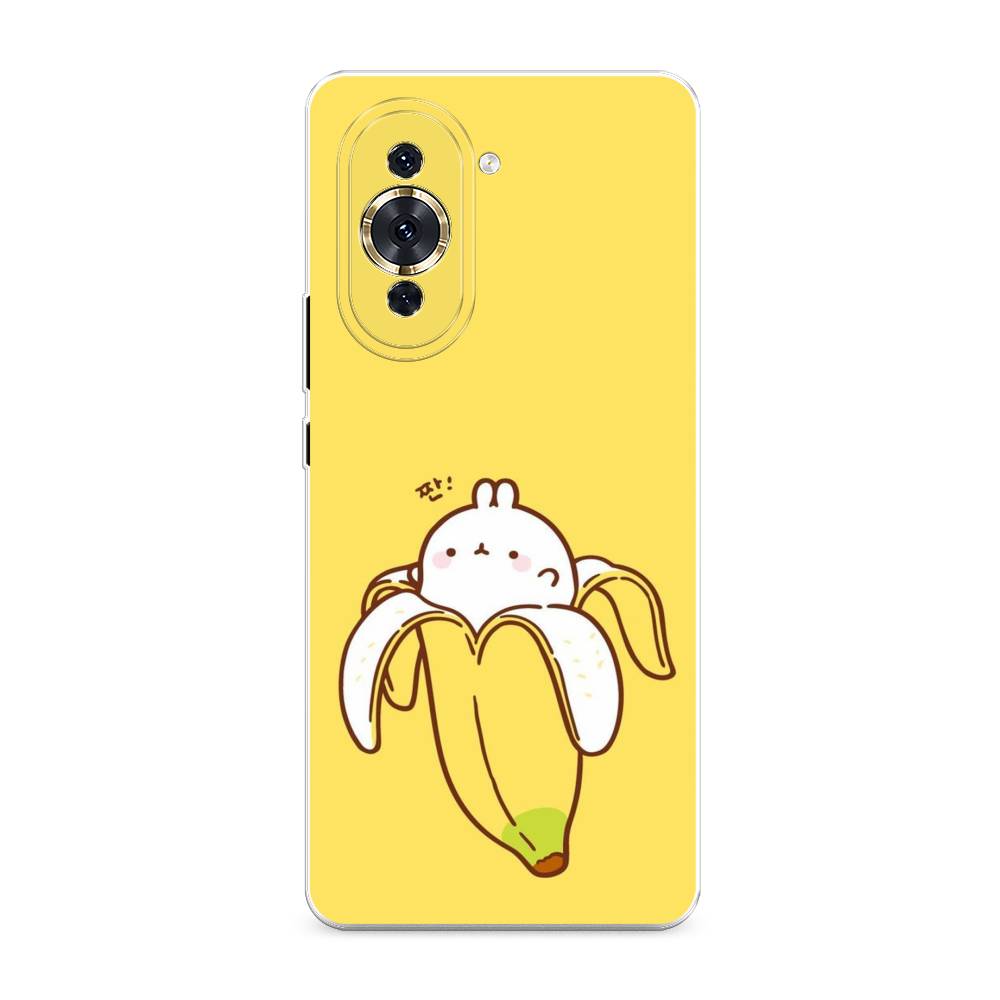 

Чехол Awog на Huawei Nova 10 Pro "Зайчик-бананчик", Разноцветный, 6109050-2