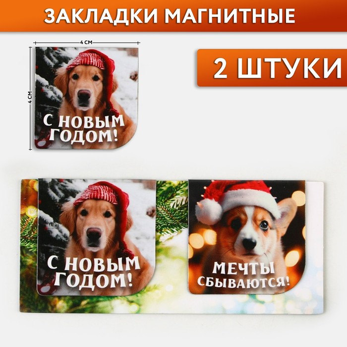 

Закладки для книг ArtFox Мечты сбываются 9781003, магнитные, 2 штуки, Разноцветный