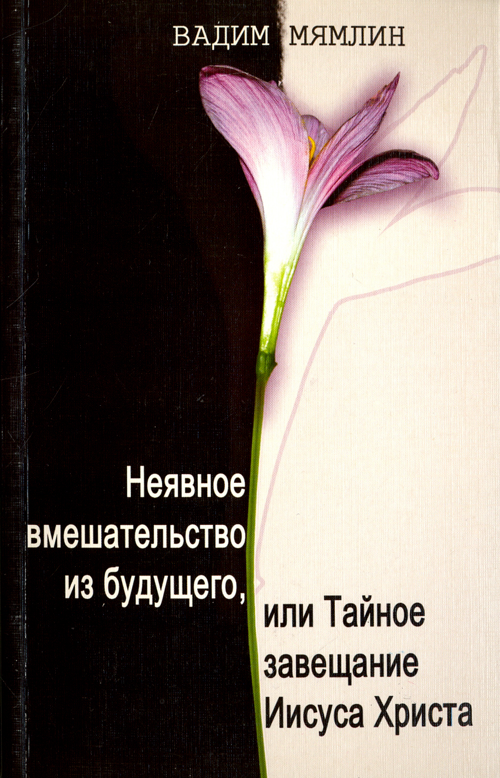 

Неявное вмешательство из будущего, или Тайное завещание Иисуса Христа
