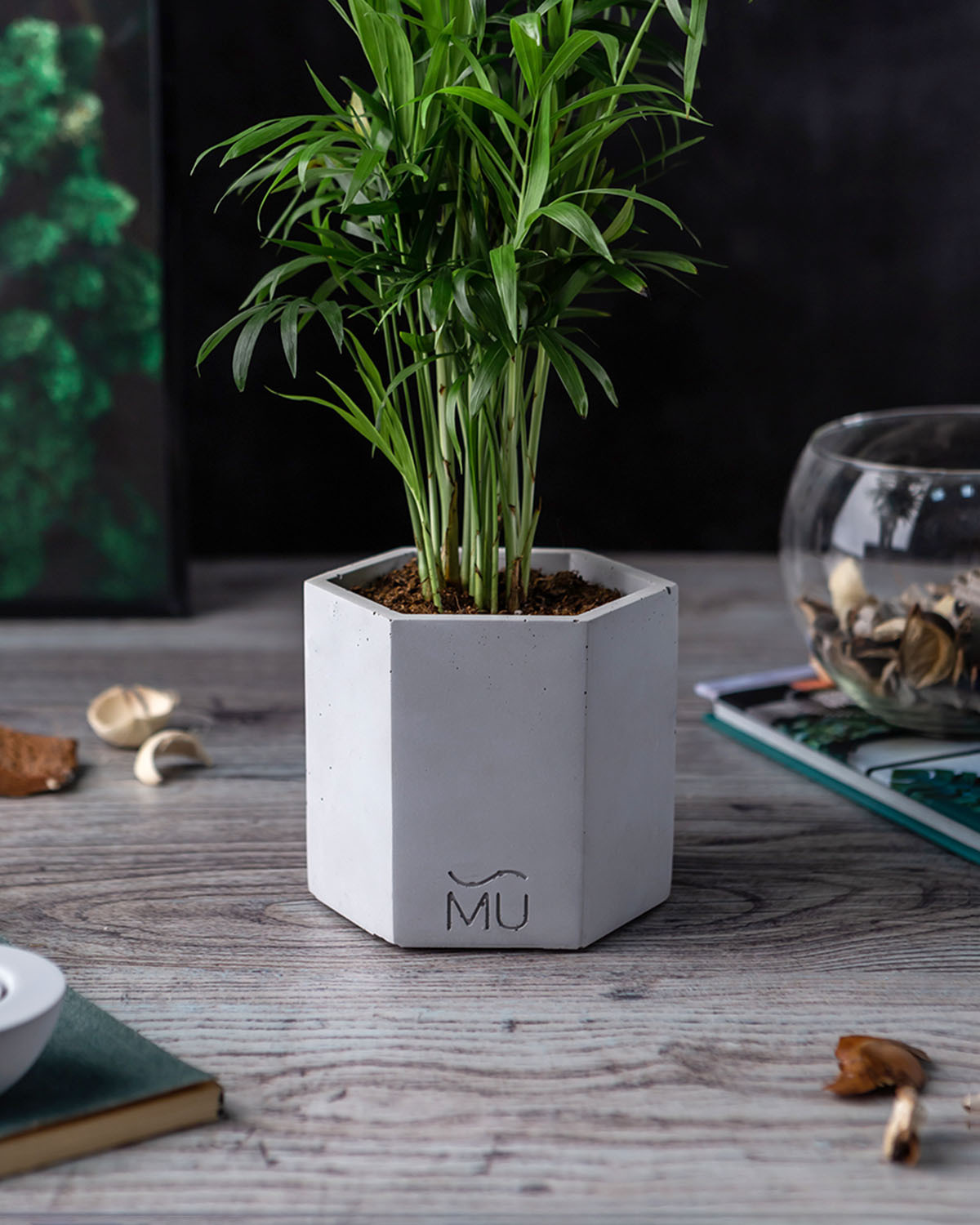 

Цветочное кашпо MUSKO HOME SаkurаMU-004-7 1шт белый, Sаkurа