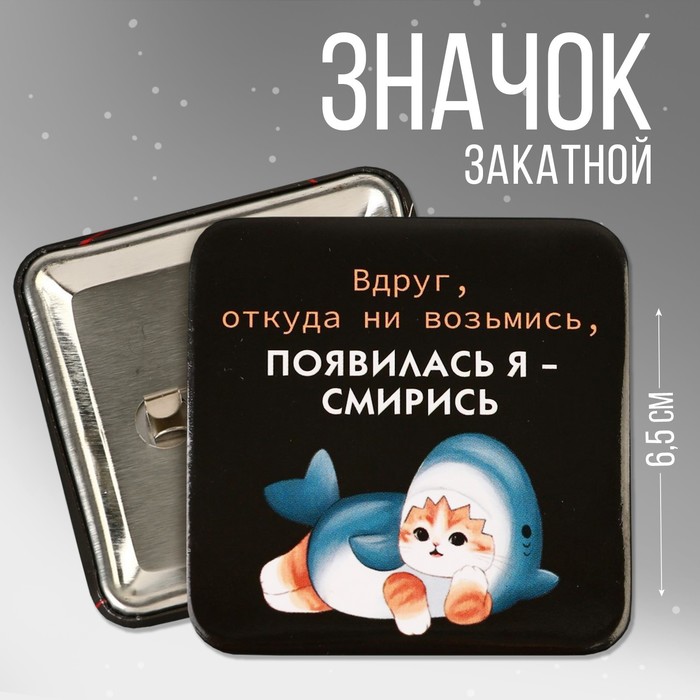 

Значок закатной Смирись, 6,5 х 6,5 см