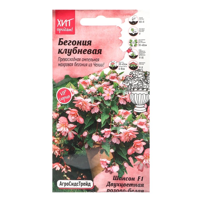 

Семена бегония Шансон Двухцветная 9489496-3p 3 уп.