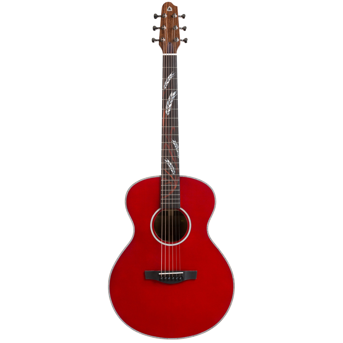 Гитара акустическая с чехлом Covenant Focus Red X