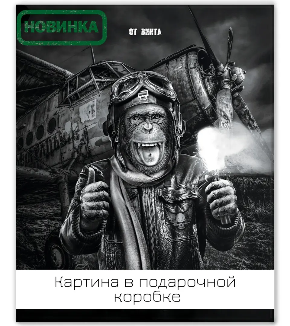 

Картина на холсте Смелый пилот 40х50 см