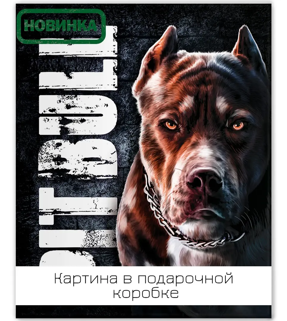 

Картина на холсте Питбуль 40х50 см