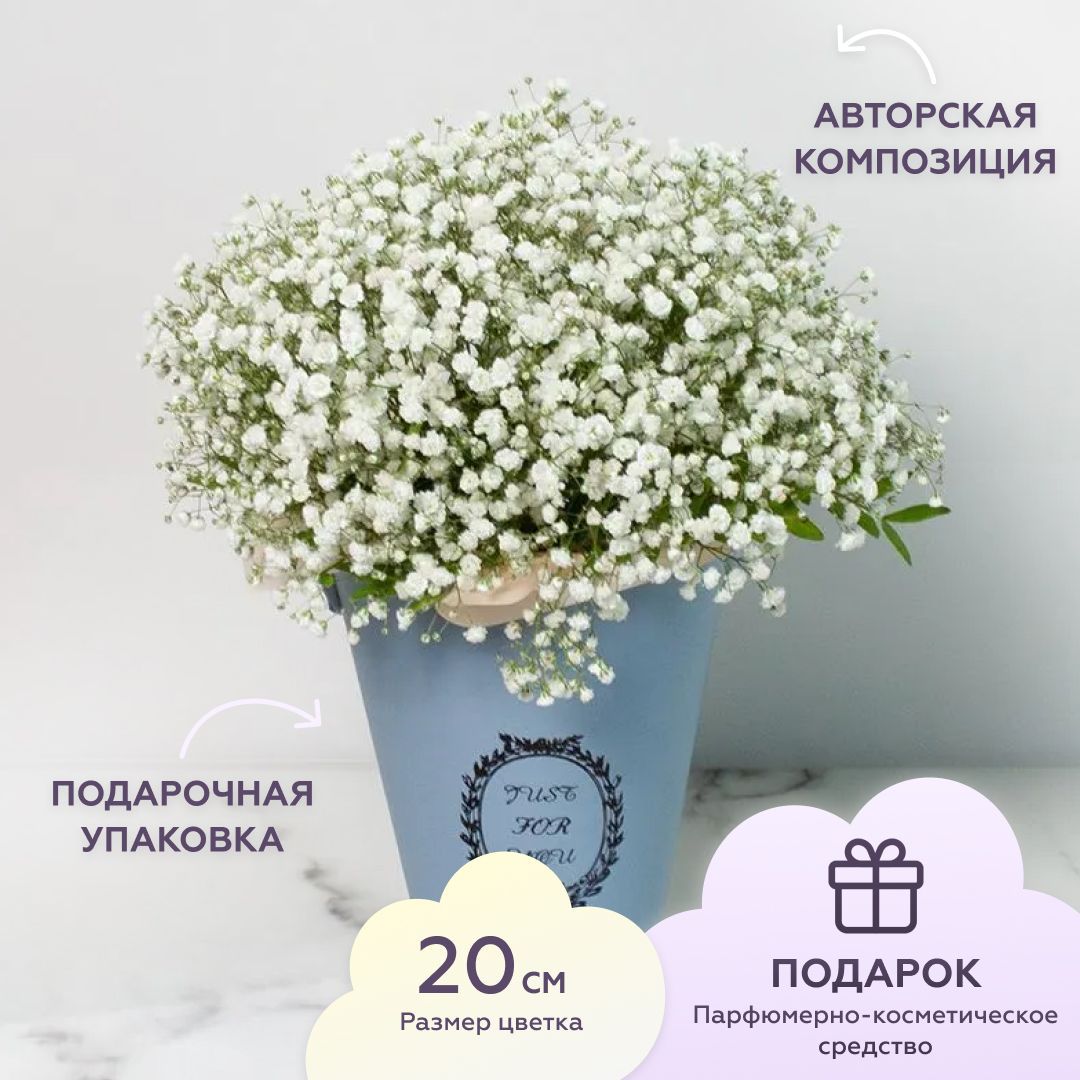 

Цветочная композиция Лэтуаль Flowers Зефирка FLW000730, Гипсофила, 3 шт, Зефирка