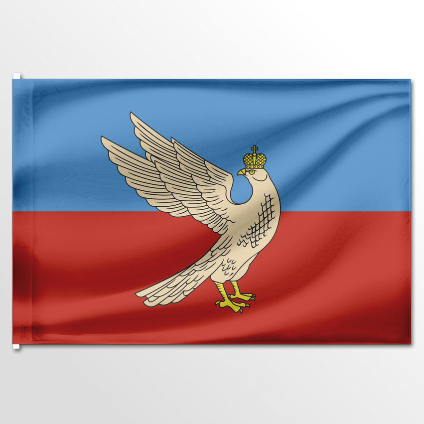 

Флаг ЦТП ФЕНИКС Суздаля 135x90 см, 1169-135x90