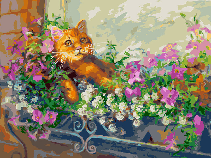 Картина по номерам Белоснежка «Любимый кот на отдыхе» холст на подрамнике, 30х40 см