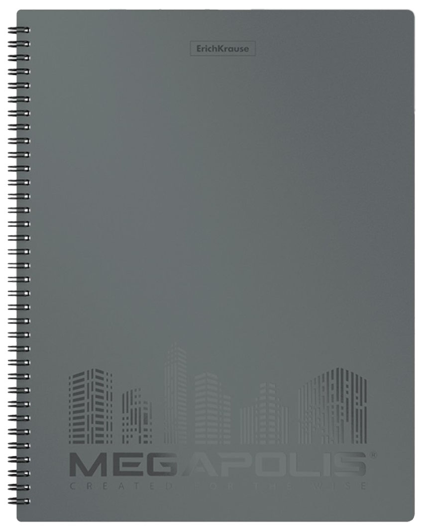 

Папка файловая пластиковая на спирали ErichKrause® MEGAPOLIS 60карманов A4 серый пакет 4шт