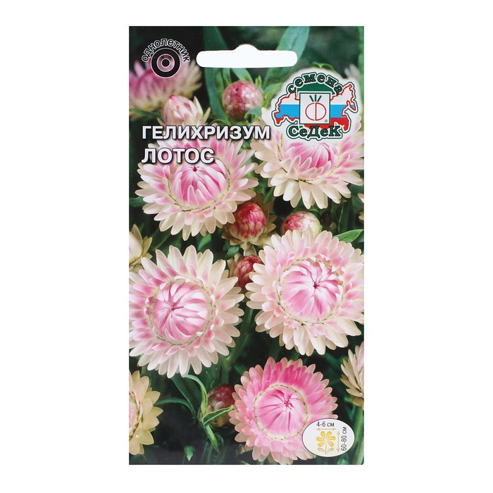 

Семена гелихризум Лотос 7688418-2p 2 уп.
