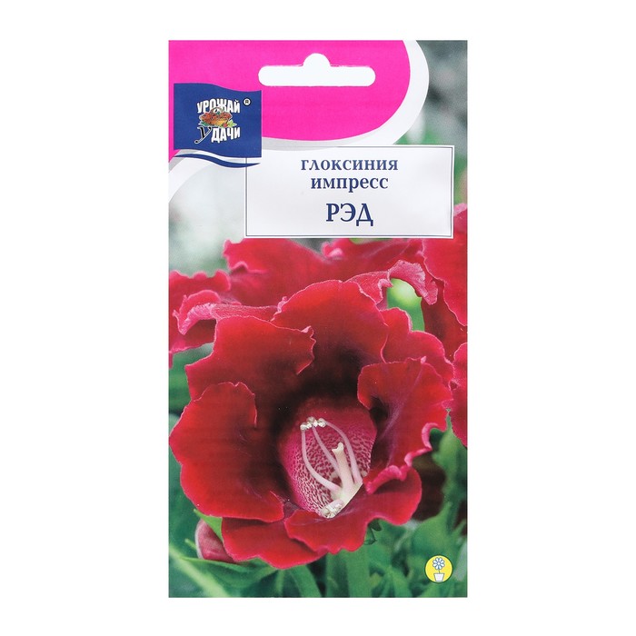 

Семена глоксиния Импресс Рэд 9338587-3p 3 уп.