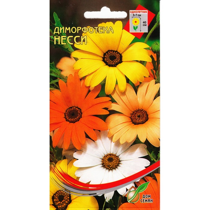 

Семена диморфотека Дом семян Несси 4175859-3p 3 уп.