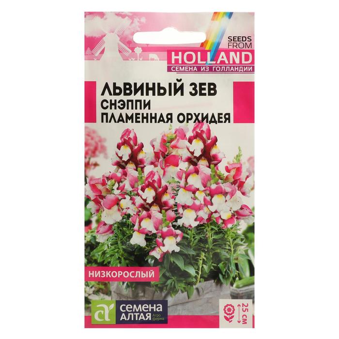 

Семена львиный зев Семена Алтая Пламенная Орхидея 7349873-2p 2 уп.