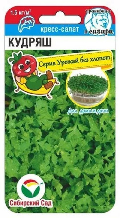

Семена капуста листовая Русский огород Кудряш 29988 1 уп.
