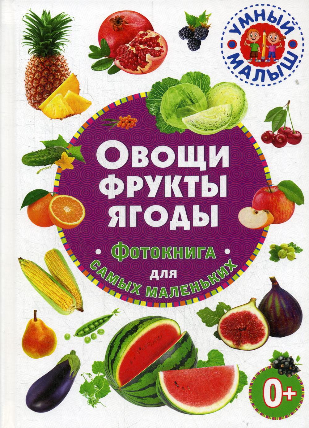 фото Книга овощи, фрукты, ягоды владис