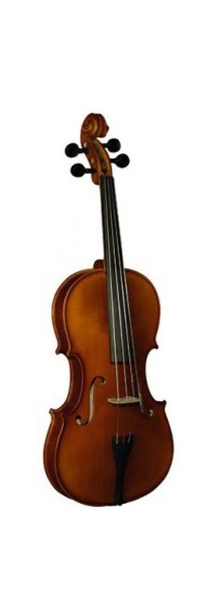 

Hans Klein Va-20 - Альт 16.5 ( 420 мм.)