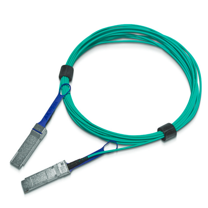 Патч-корд Mellanox QSFP28 - QSFP28 вилка-вилка 10м (MFA1A00-E010) черный