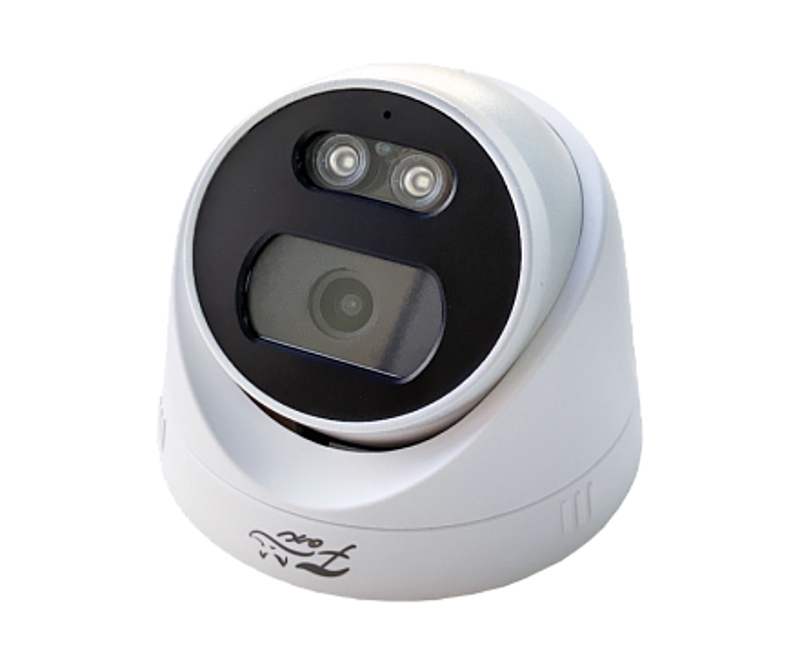 

IP-камера Fox FX-IPC-D20FP-WIR, Белый, FX-IPC-D20FP-WIR AI