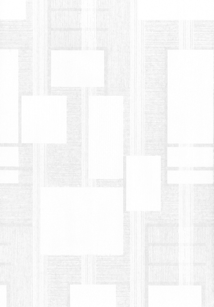 

Обои под покраску, Erisman Mode Vlies,2508-1, Белый, виниловые обои, ОБОИ Erisman Mode Vlies 2508-1 Белый однотонный