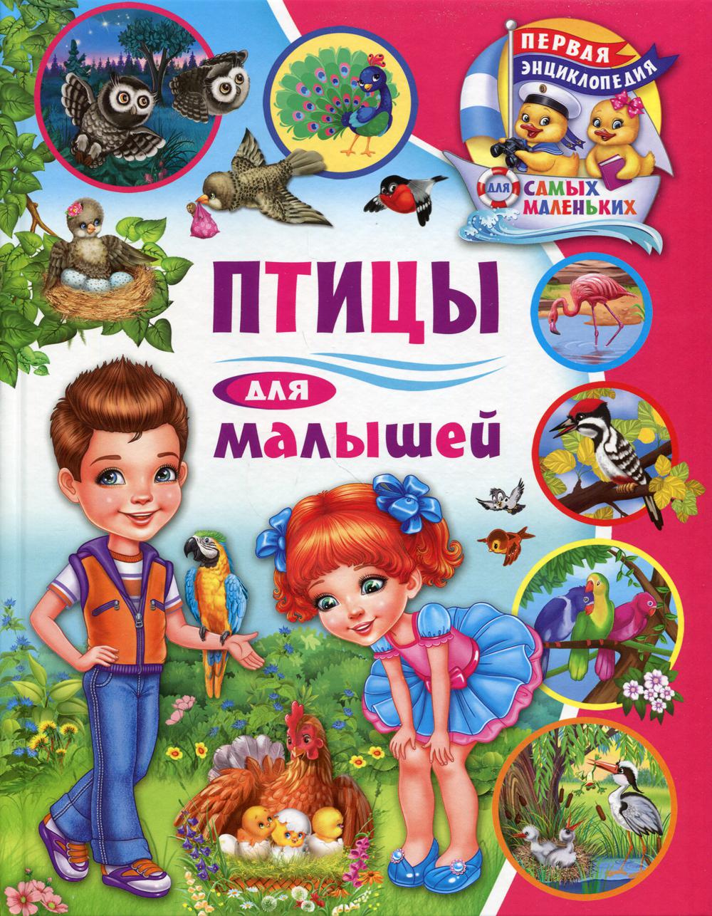 фото Книга птицы для малышей владис