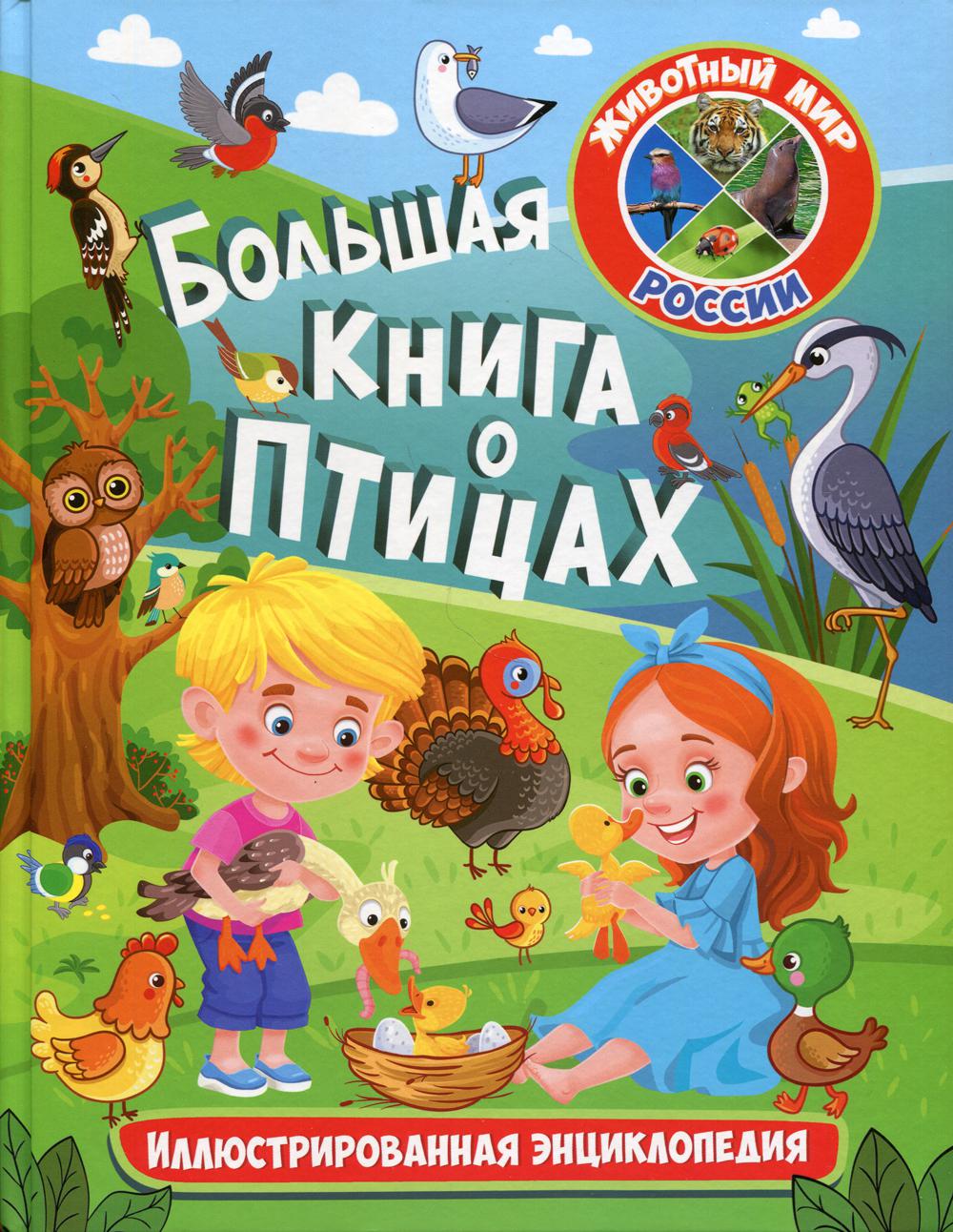 фото Книга большая книга о птицах владис