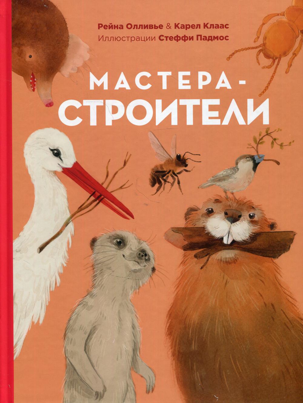 фото Книга мастера-строители энас-книга