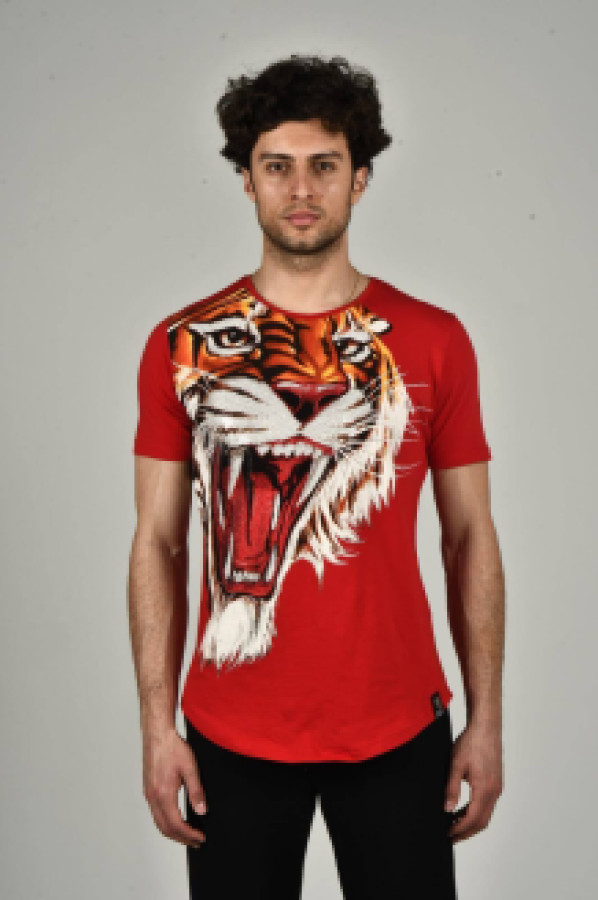 

Футболка мужская David Gerenzo 900000054666 красная M (доставка из-за рубежа), 900000054666