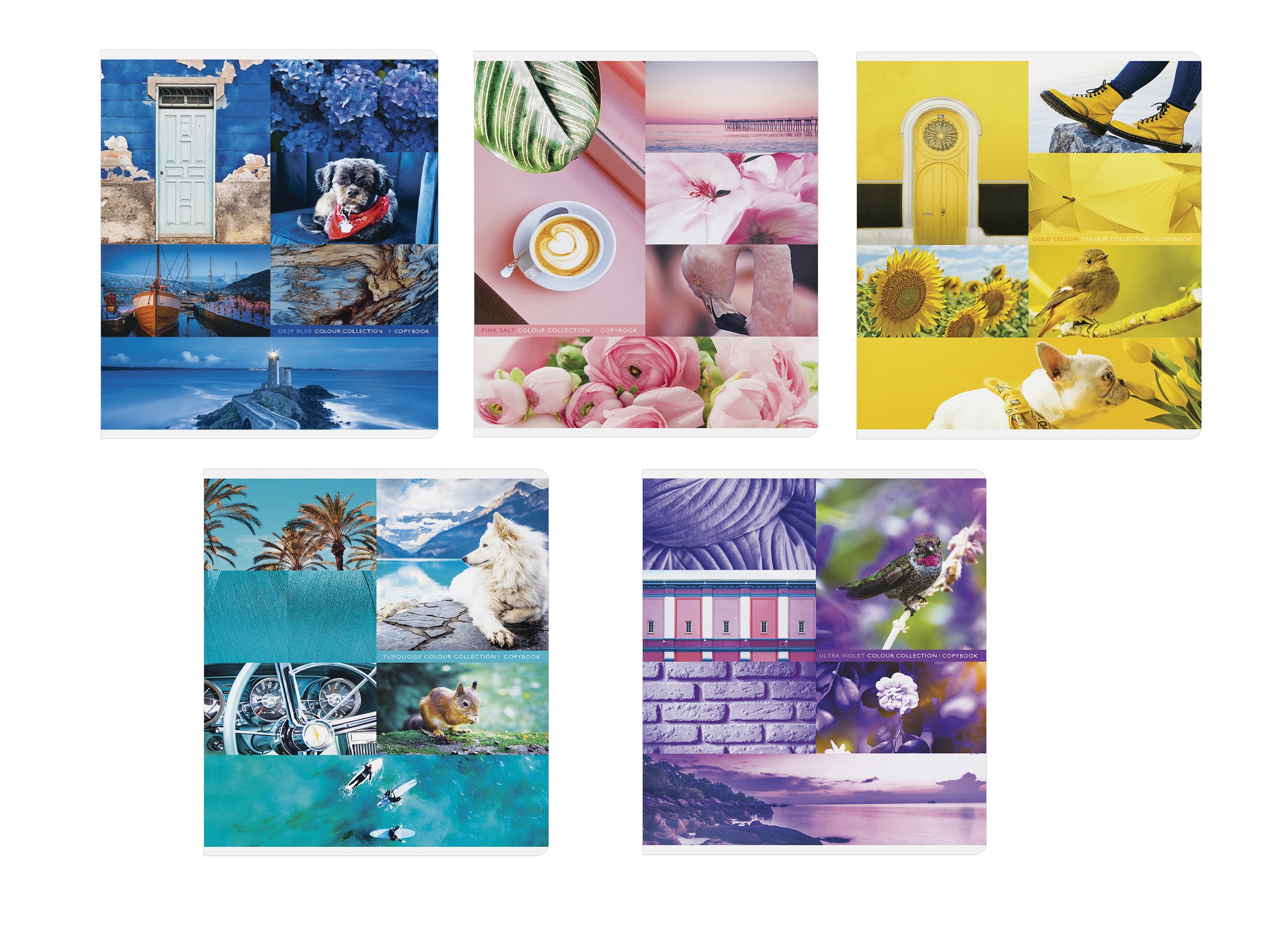 

Комплект общих тетрадей ArtSpace "Стиль.Colourful collage" 5 штук, 48 листов, линия