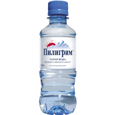 Вода питьевая Пилигрим 0,25 л