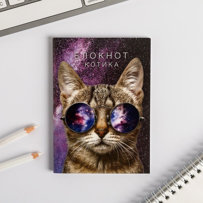 

Блокнот ArtFox котика на скрепке, А6, 32 листа