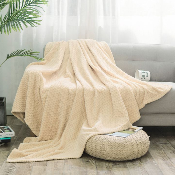 

Плед Cleo "ROYAL PLUSH" велсофт евро 200*220 200/022-RP