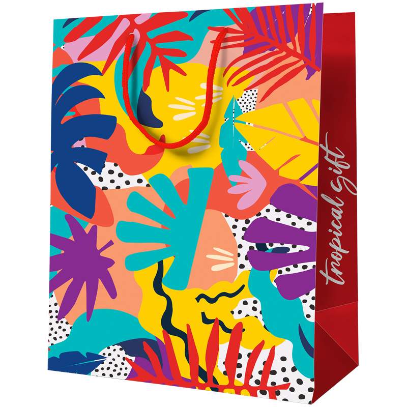 

Пакет подарочный Artspace 322200, "Tropical gift", 14x11x6.5см, 12 штук