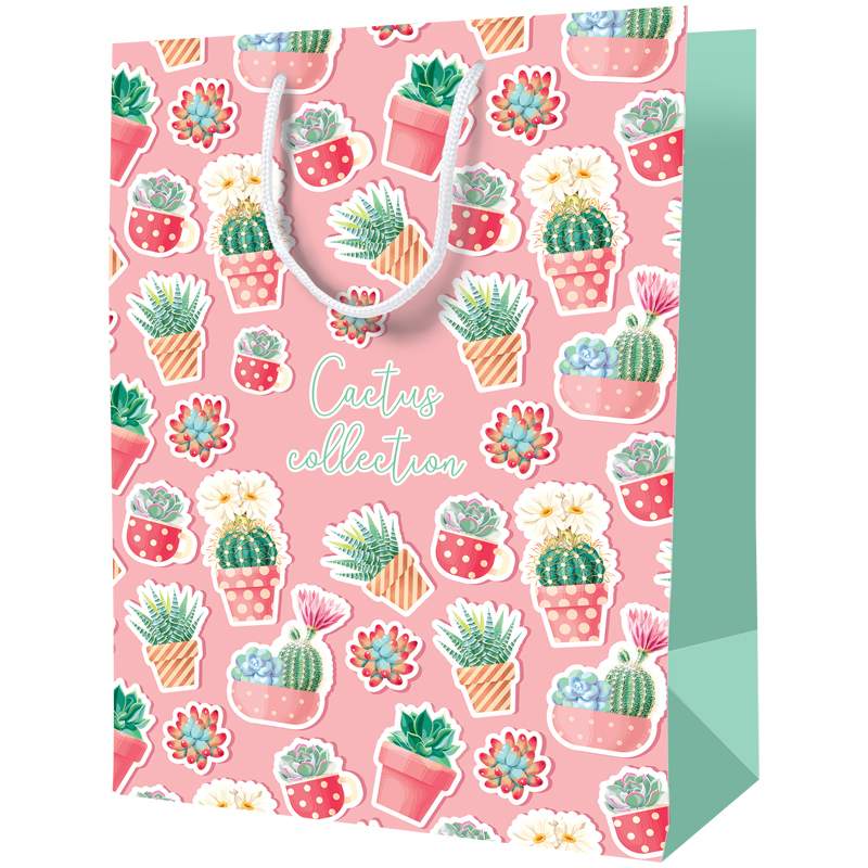

Пакет подарочный Artspace 322223, "Cactus collection", 23x11x10см, 12 штук