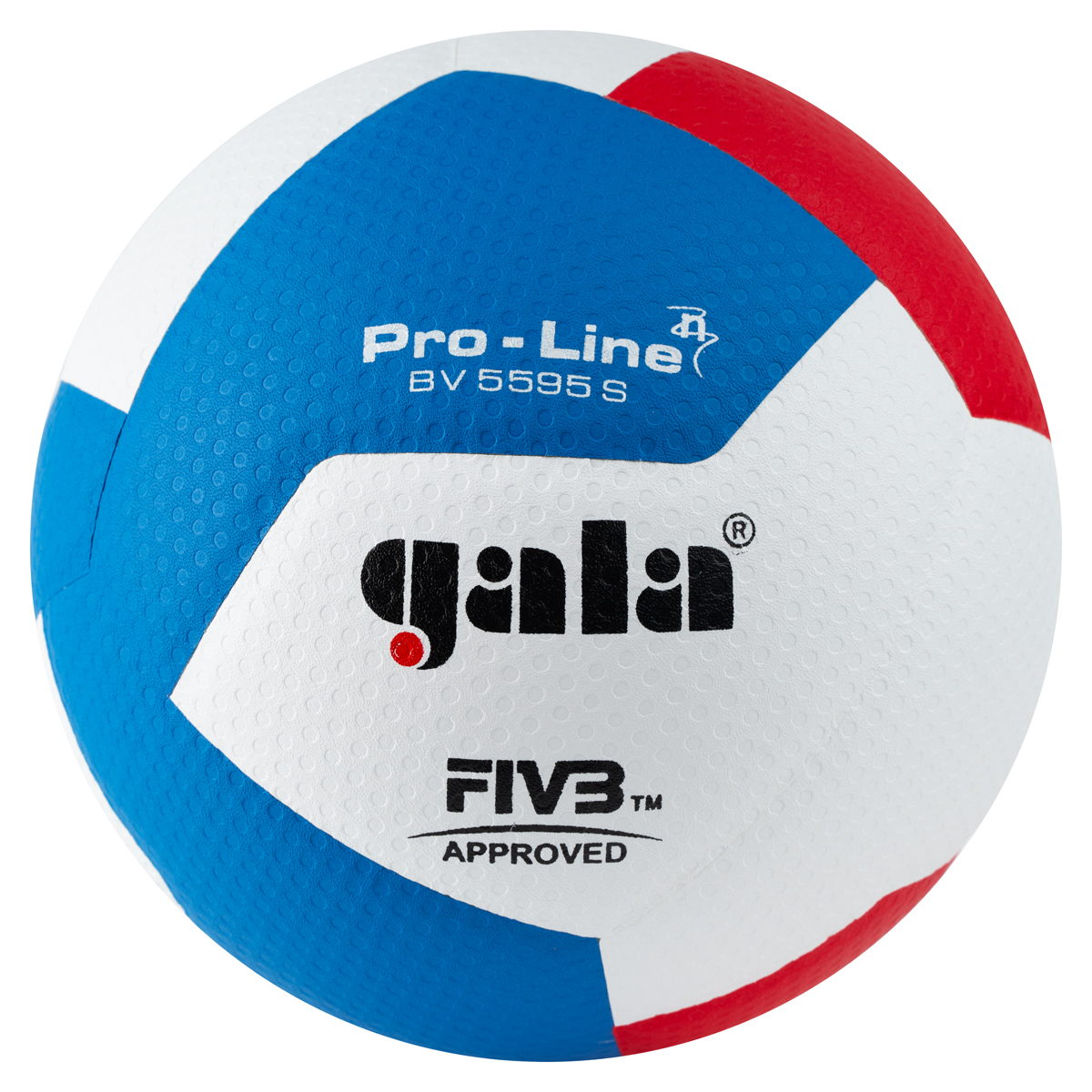 Волейбольный мяч Gala Pro-Line 12 FIVB BV5595S, размер 5