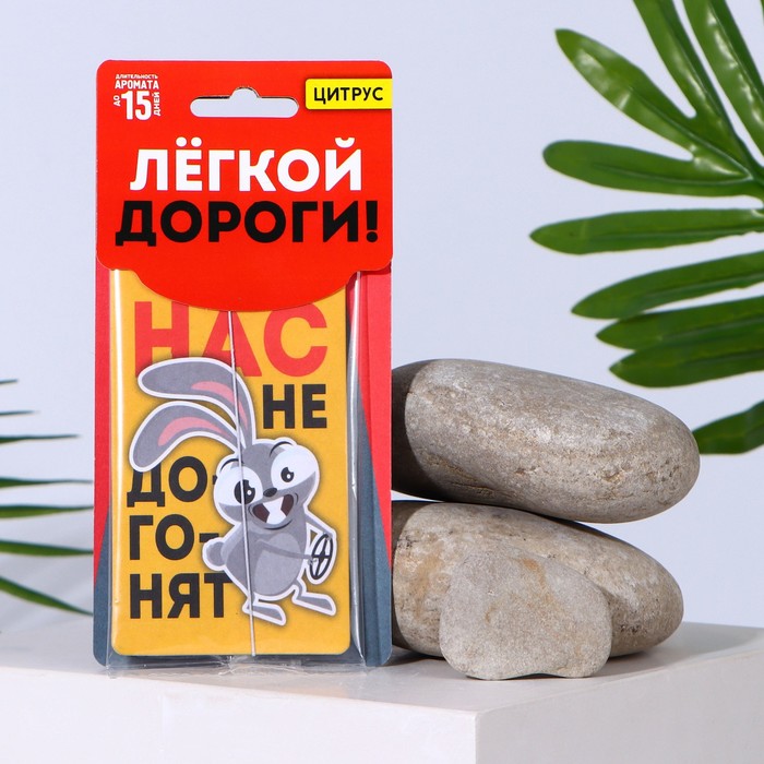 

Ароматизатор в машину NoBrand 7696970 Нас не догонят